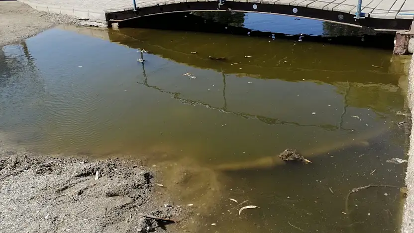 Gümbet'te utandıran manzara, turizmin kalbi pisliğe teslim edildi!