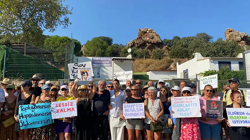 Gümüşlük Forumu Barınak Gezdirme Grubu'ndan belediye ve veteriner işlerine çağrı: 'tamam değil, devam!'