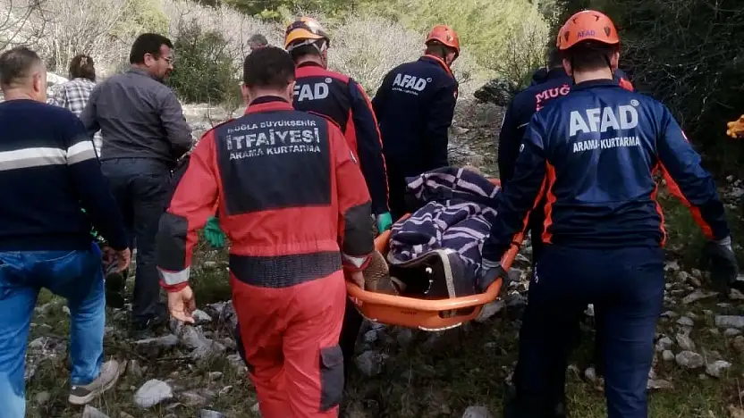 Hayvan otlatırken kayalıklardan düştü
