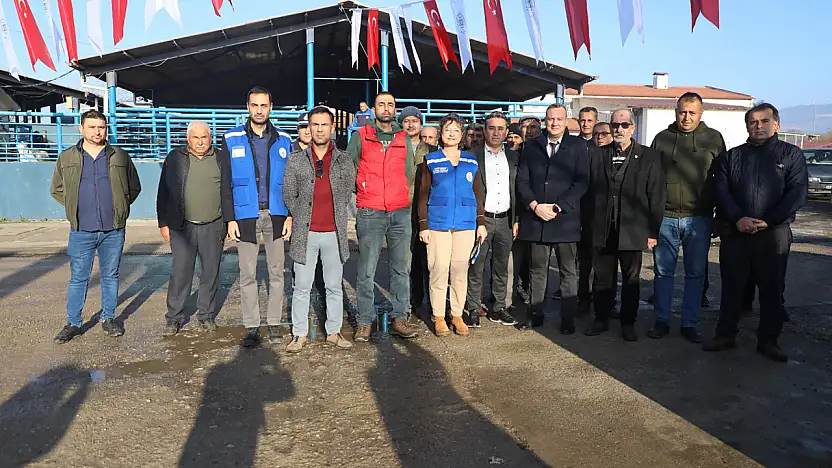 Hayvan üreticilerine mineral blok taşı desteği