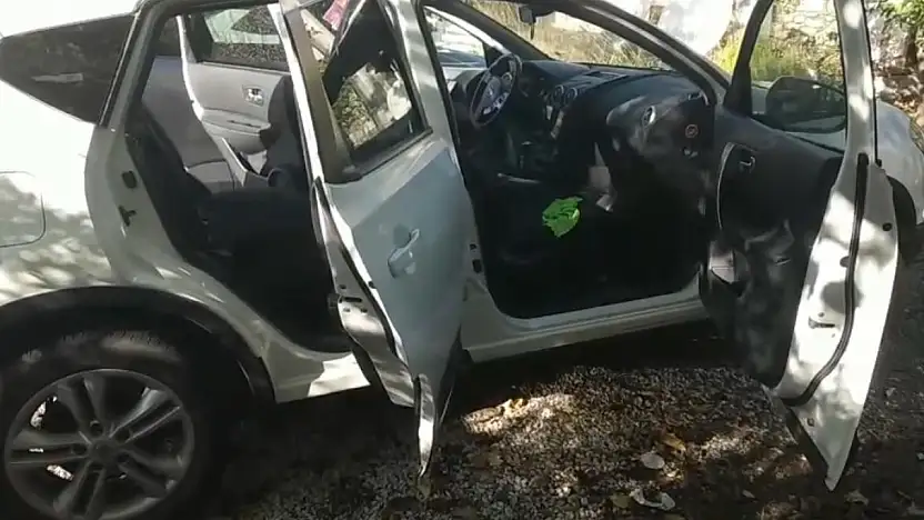 Hayvanseverlere ruh hastası dedi