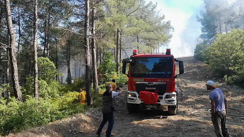 Helikopter ve uçaklarla orman yangınına karşı seferberlik
