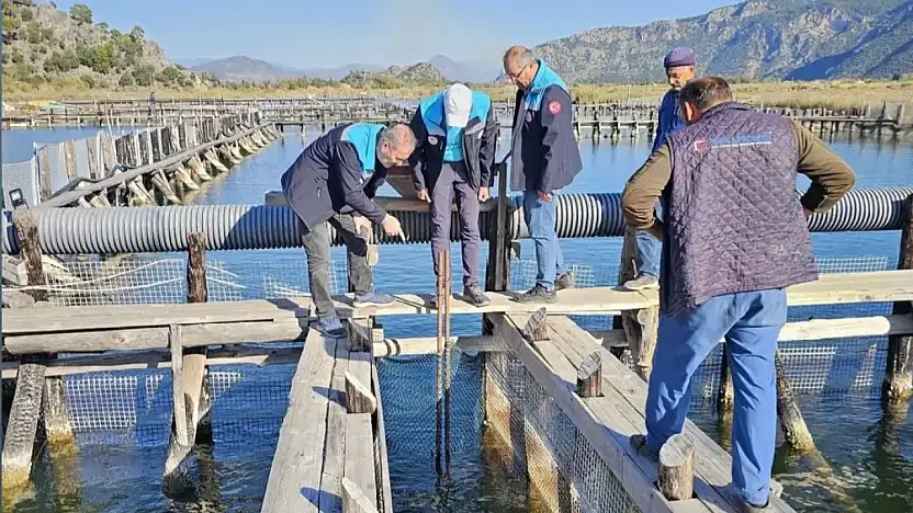 Kaçak av araçlarına el konuldu