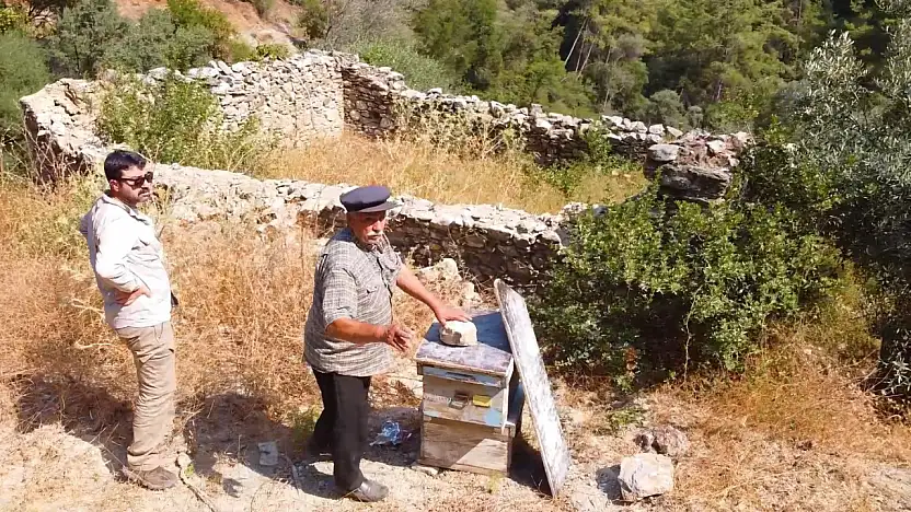 Kadim arıcılık geleneği hayat buluyor