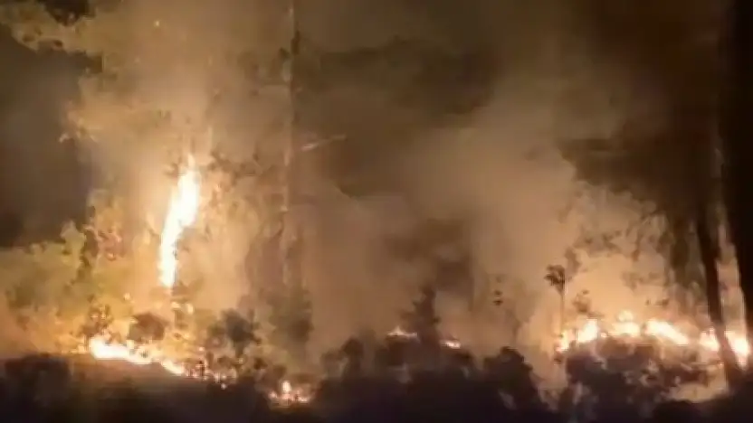 Orman yangını kontrol altına alındı