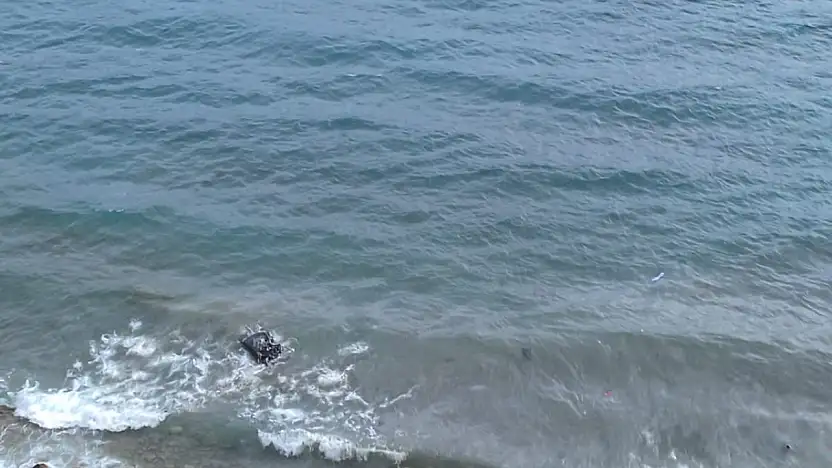 Kontrolden çıkan araç denize uçtu