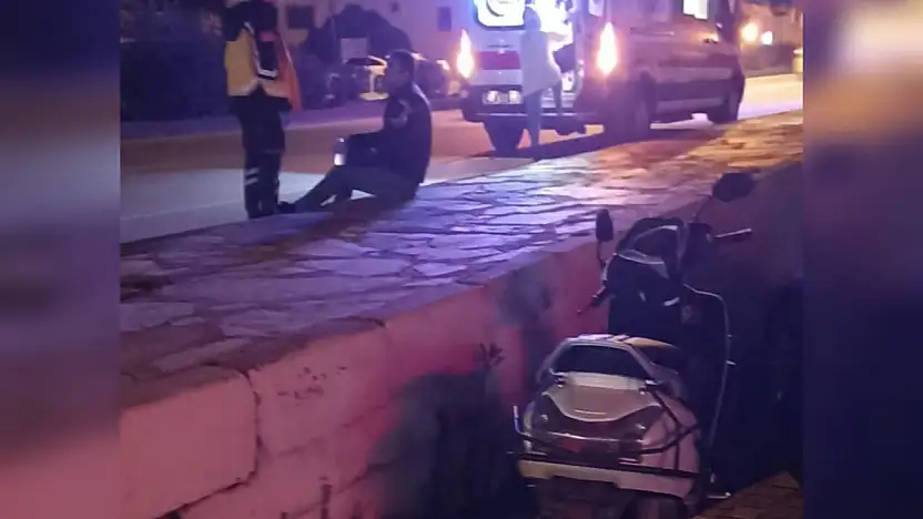 Köpeğe çarpmamak için fren yaptılar yola savruldular