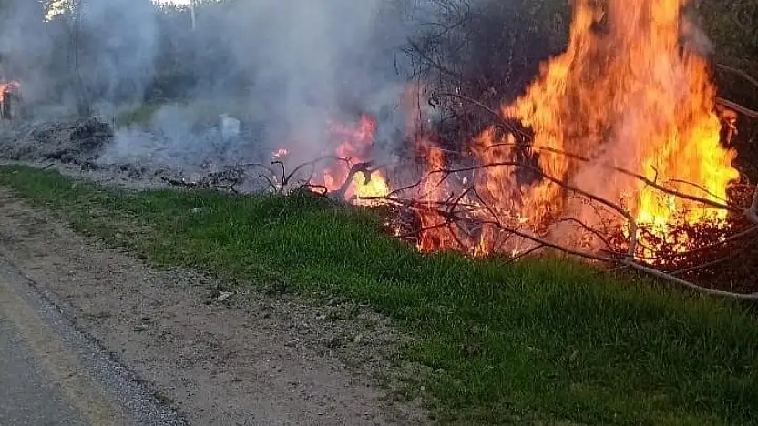 Milas'taki orman yangınları büyümeden söndürüldü