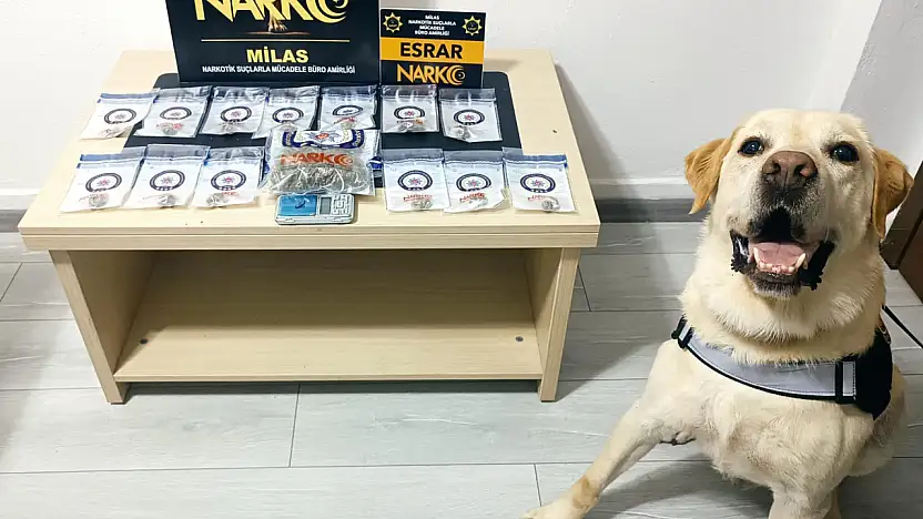 Muğla'da Uyuşturucu Tacirlerine Geçit Yok: 5 Tutuklama