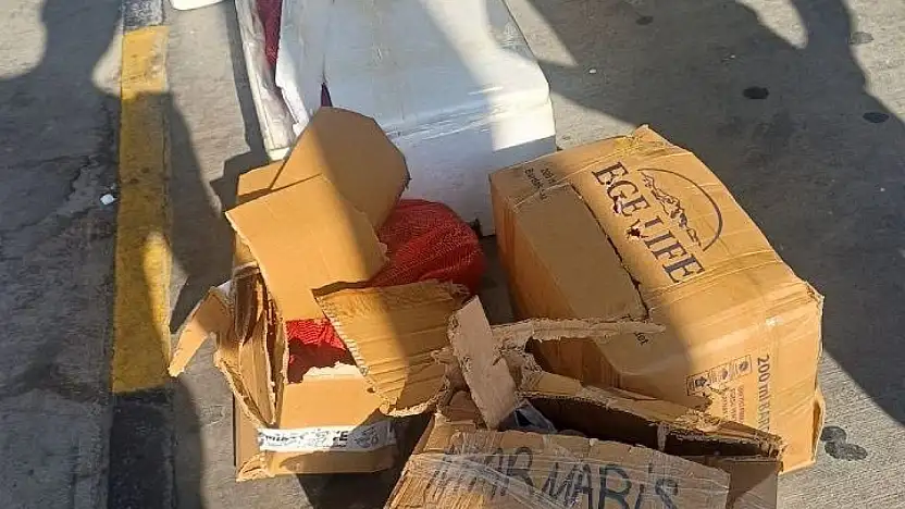 Muğla otobüs terminalinde sahipsiz midyelere el konuldu