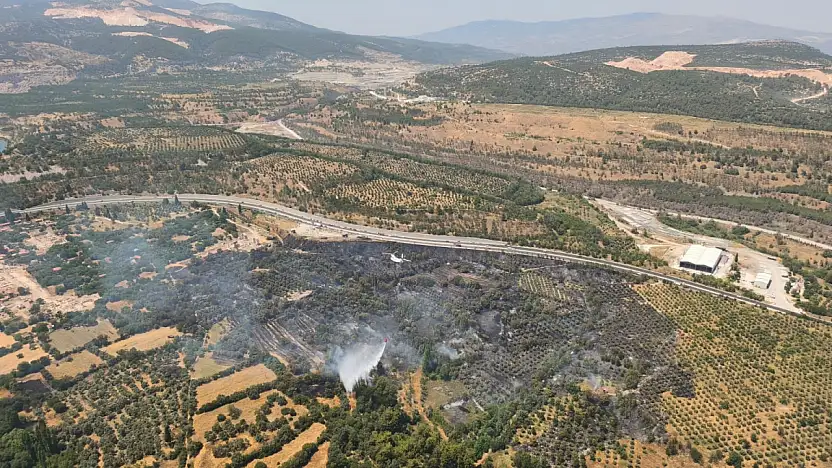 Muğla Stratonikeia Antik Kenti'ni etkileyen zirai alan yangını kontrol altına alındı