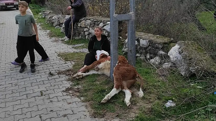 Nefes kesen kurtarma