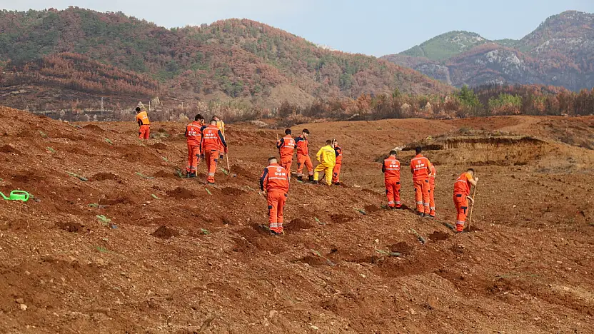 On binlerce fidan toprakla buluşacak