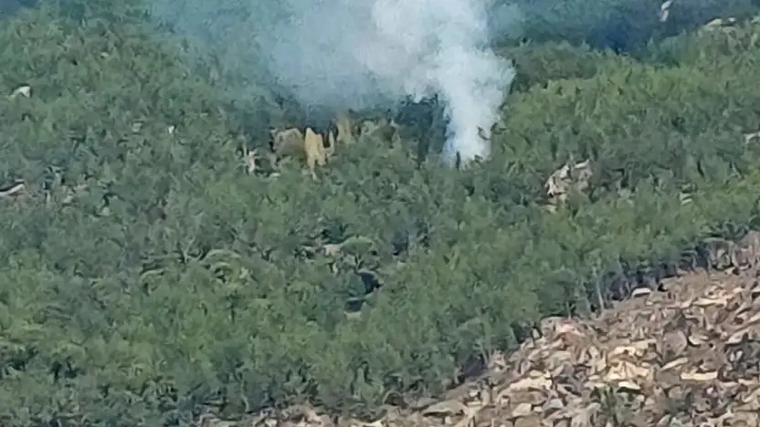 Orman yangını kontrol altına alındı