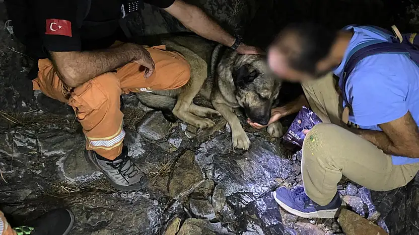 Ormanda mahsur kalan vatandaş kurtarıldı