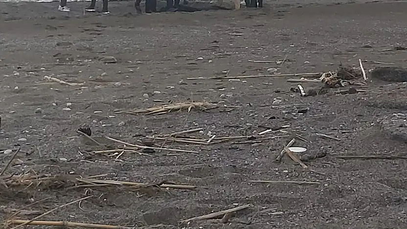 Parçalanmış erkek cesedi bulundu