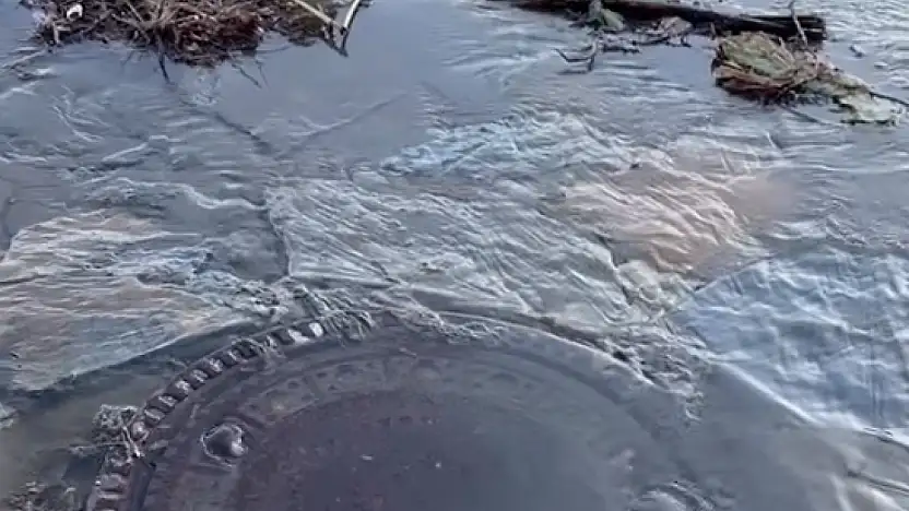 Pis su denize akıyor, koku sahili sardı!