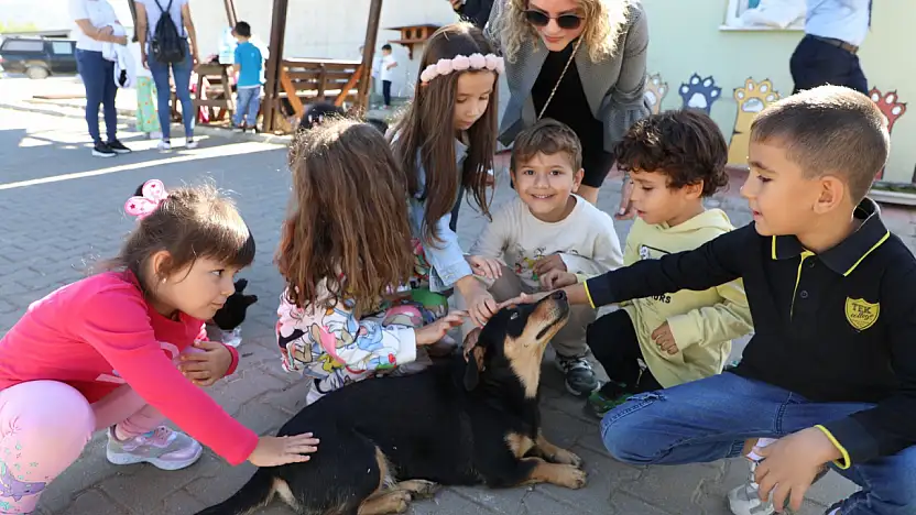 Sıcacık yuvaya kavuşan canlar