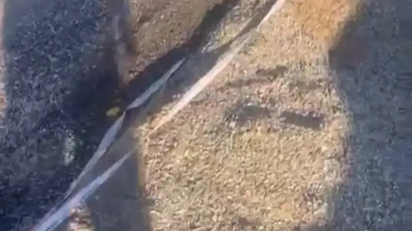 Sürücüler için risk yaratıyor