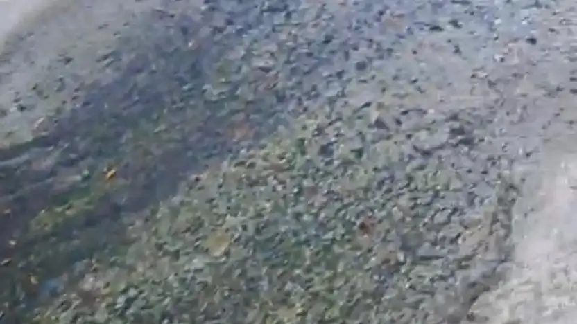 Süslü laf çok, çözüm yok