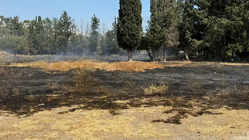 Tarım arazisinde yangın paniği!