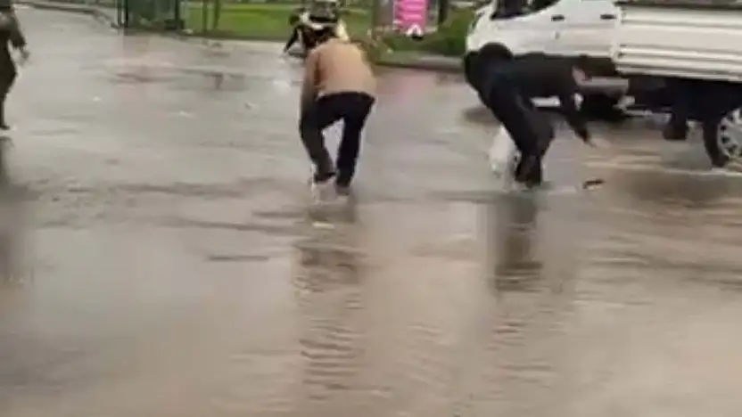 Taşan göletteki balıklar yola saçıldı