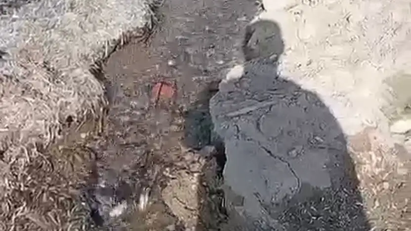 Turgutreis'te boşa akan su tepki çekti