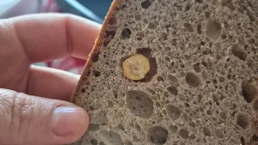 Turgutreis'te ekmekten nohut çıktı, aile denetim çağrısı yaptı