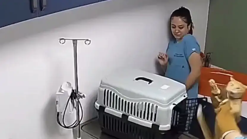 Veterinerde hareketli anlar