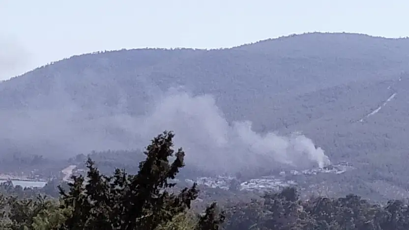 Yangın ormana sıçramadan söndürüldü !