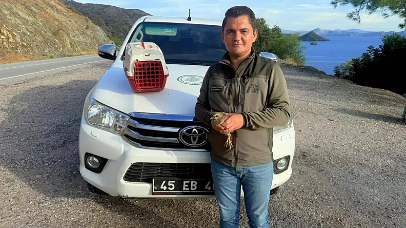 Yasadışı kınalı keklik satışı pahalıya patladı