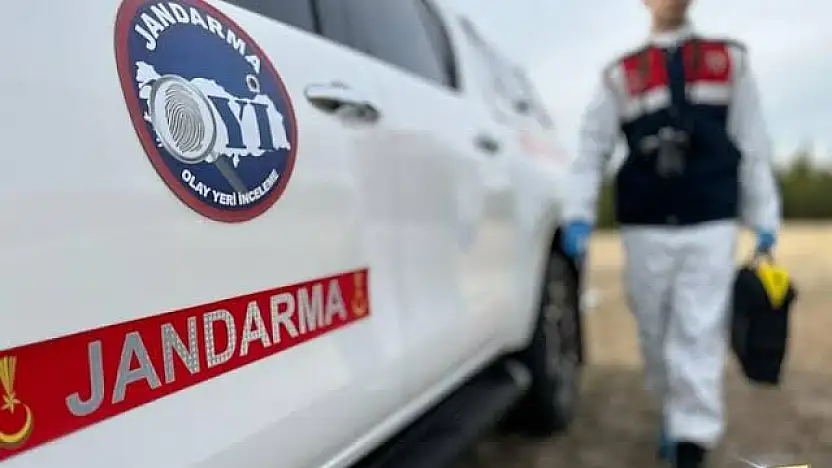 Zeytin ağacından düşen vatandaş hayatını kaybetti