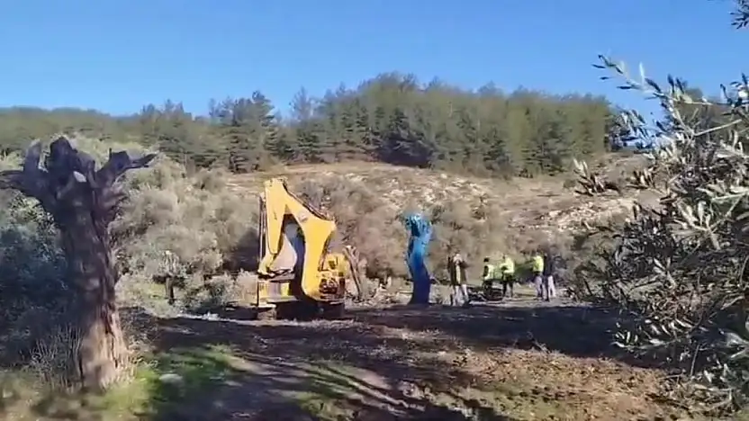 Zeytinlik tartışması büyüyor