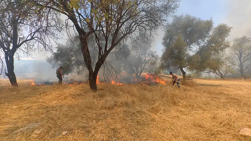 Ziraat arazisinde yangın! Kara ve hava ekipleri müdahale ediyor