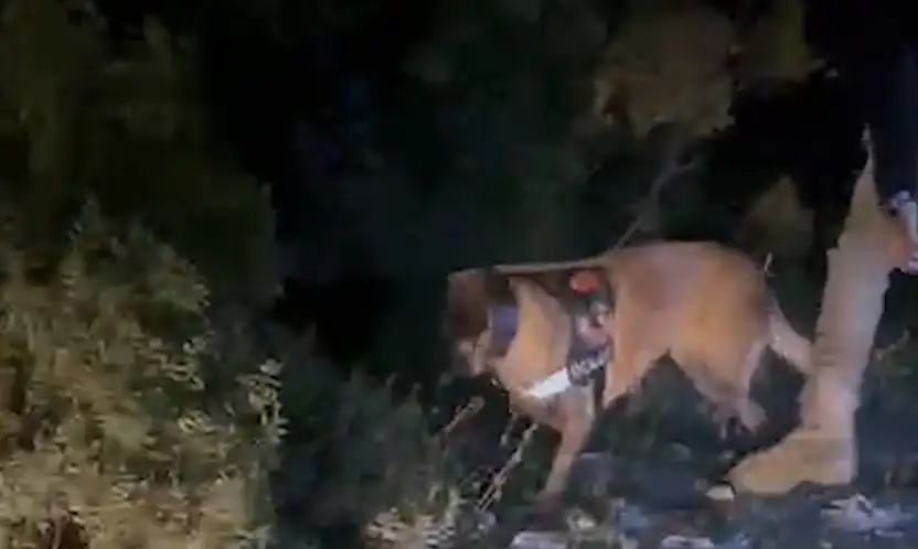 4 Milyon TL'lik uyuşturucu operasyonu