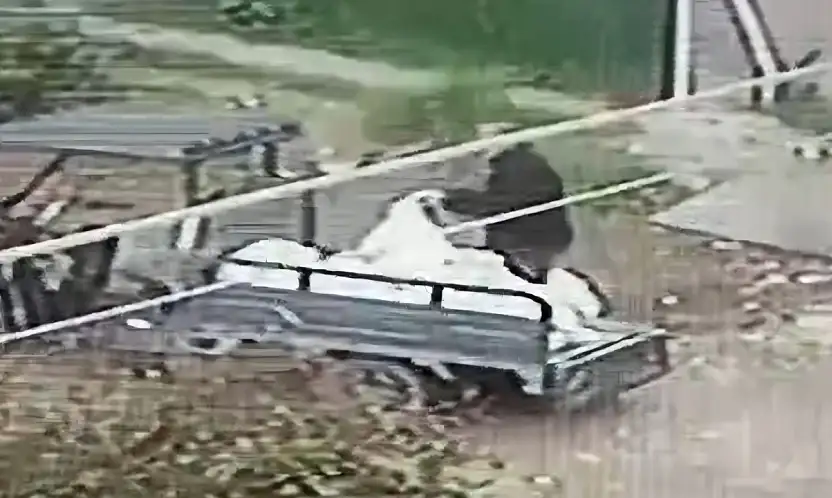 Araziyi çöplüğe çevirdi 50 bin TL ceza ve gözaltı