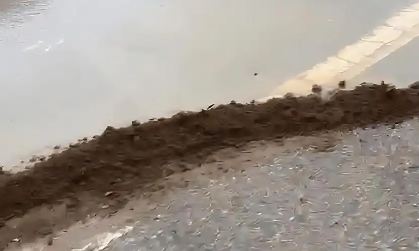 Aynı noktada yine su patlağı