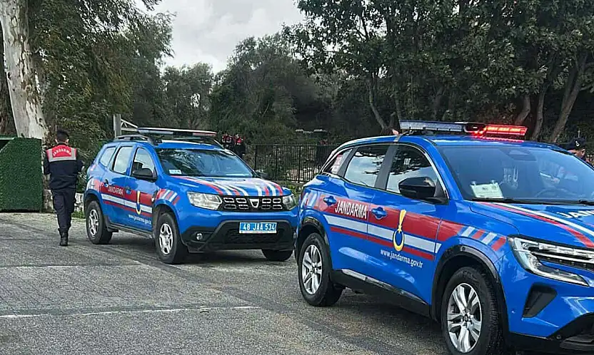 Bodrum'da 2 köpeğin öldürülmesi olayında savcılık itirazı sonrası tutuklama talebi