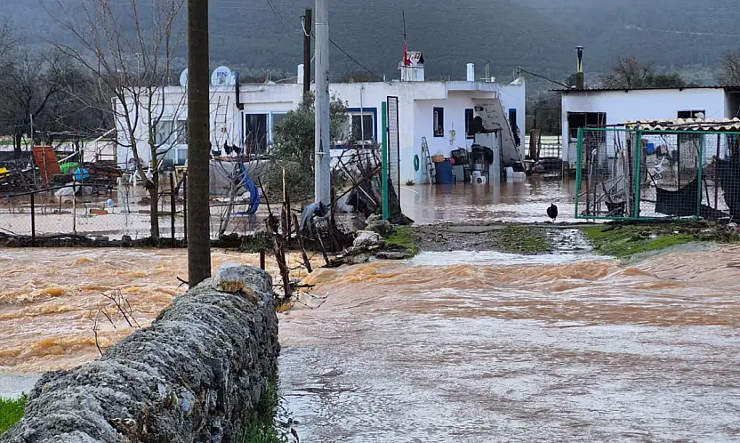 Bodrum'da 60 tavuk sele kapıldı