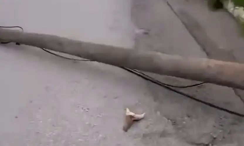 Bodrum'da fırtına az kalsın can alıyordu