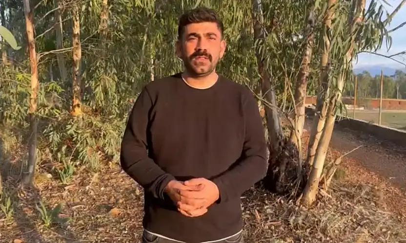 Bodrum'da viral olan kedi videosu üzerine Kaya'dan duyarlılık çağrısı