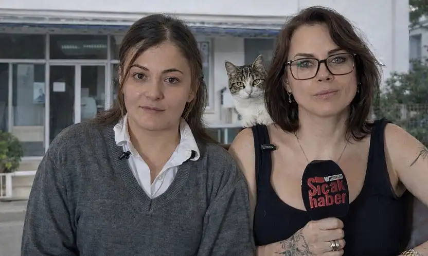 Bodrum'daki bir hayvan hastanesine yönelik iddialar gündeme oturdu