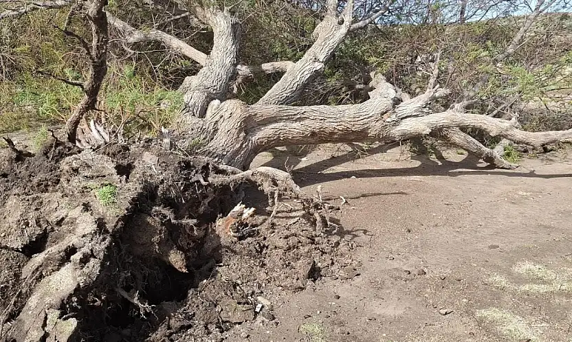 Bodrum'u kuvvetli fırtına vurdu