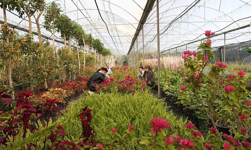 Büyükşehir'den yerel kalkınmaya güçlü katkı