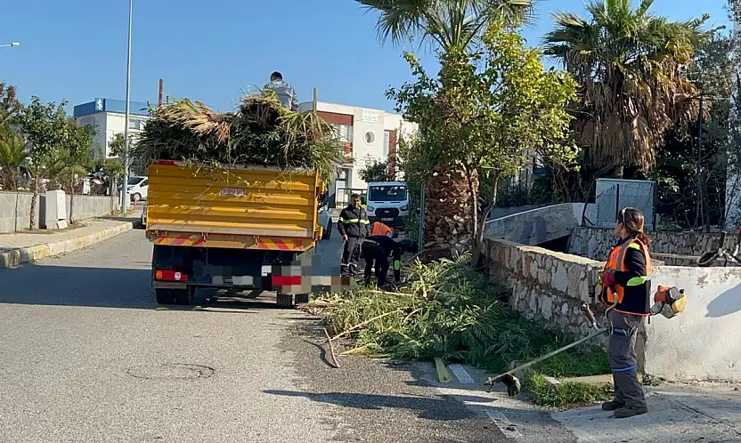 Caddelerde kapsamlı çevre düzenleme çalışması