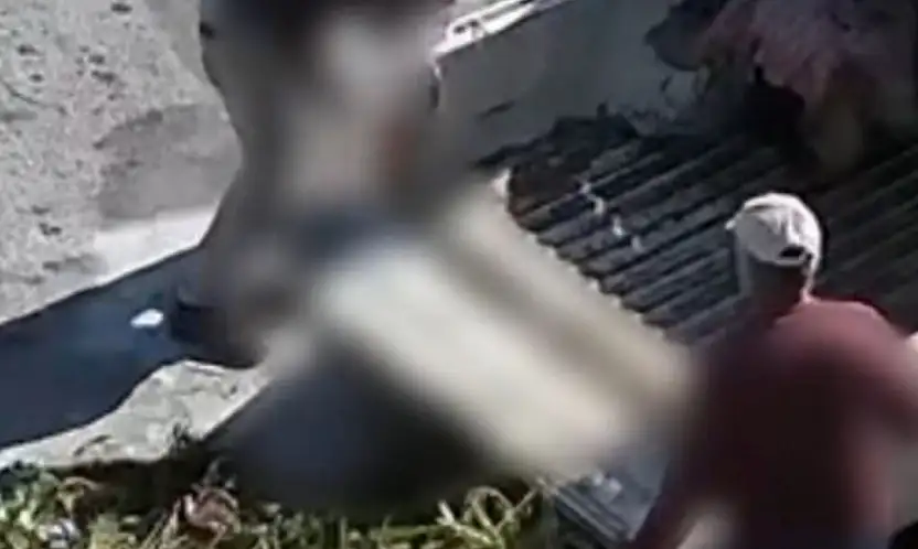 Çevre kirliliğine kamera takibi