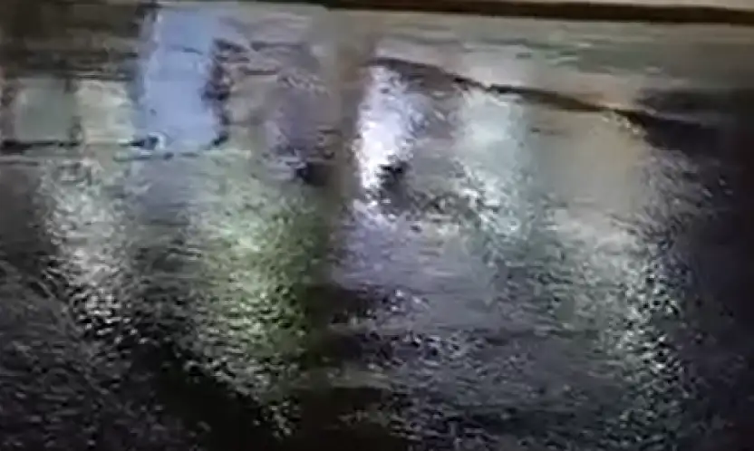 Defalarca bildirdik, kimse gelmedi iddiası