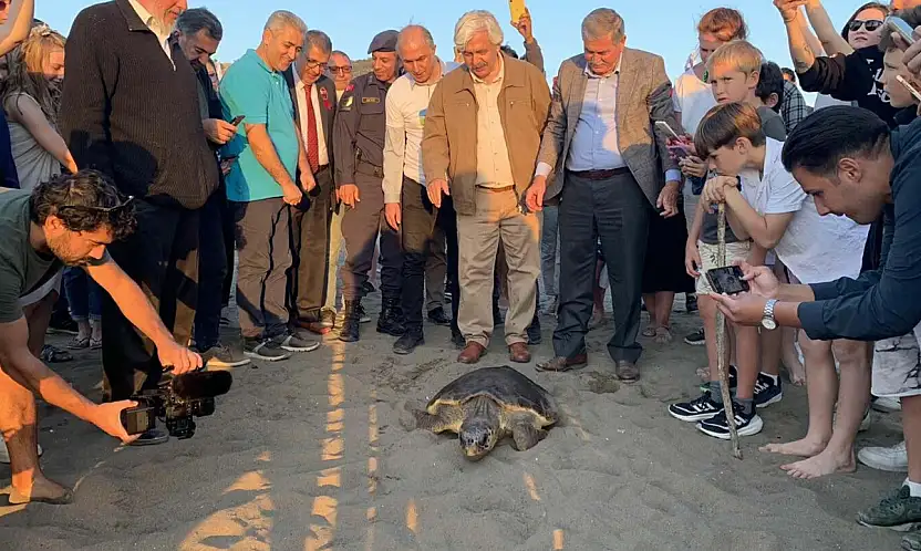 Deniz kaplumbağalarını koruma çalışmaları olumlu sonuç verdi