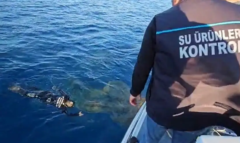 Denizlerdeki hayalet ağlar temizleniyor