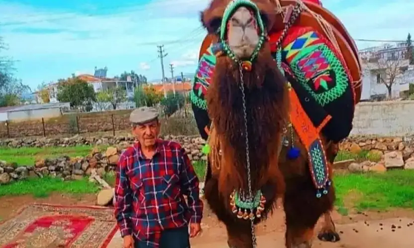 Deveci İlhan Dalka hayatını kaybetti